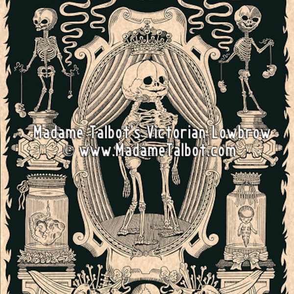 Victorian Lowbrow Anatomy Morbid Medical Museum Fetal Skeleton Poster Print