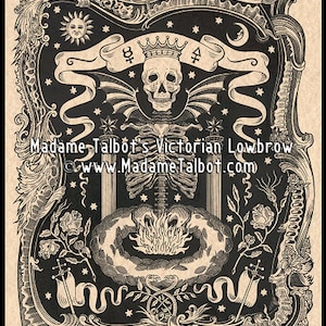 Skull Alchemy Ribcage Skeleton Skull Gothic Lowbrow Occult Poster