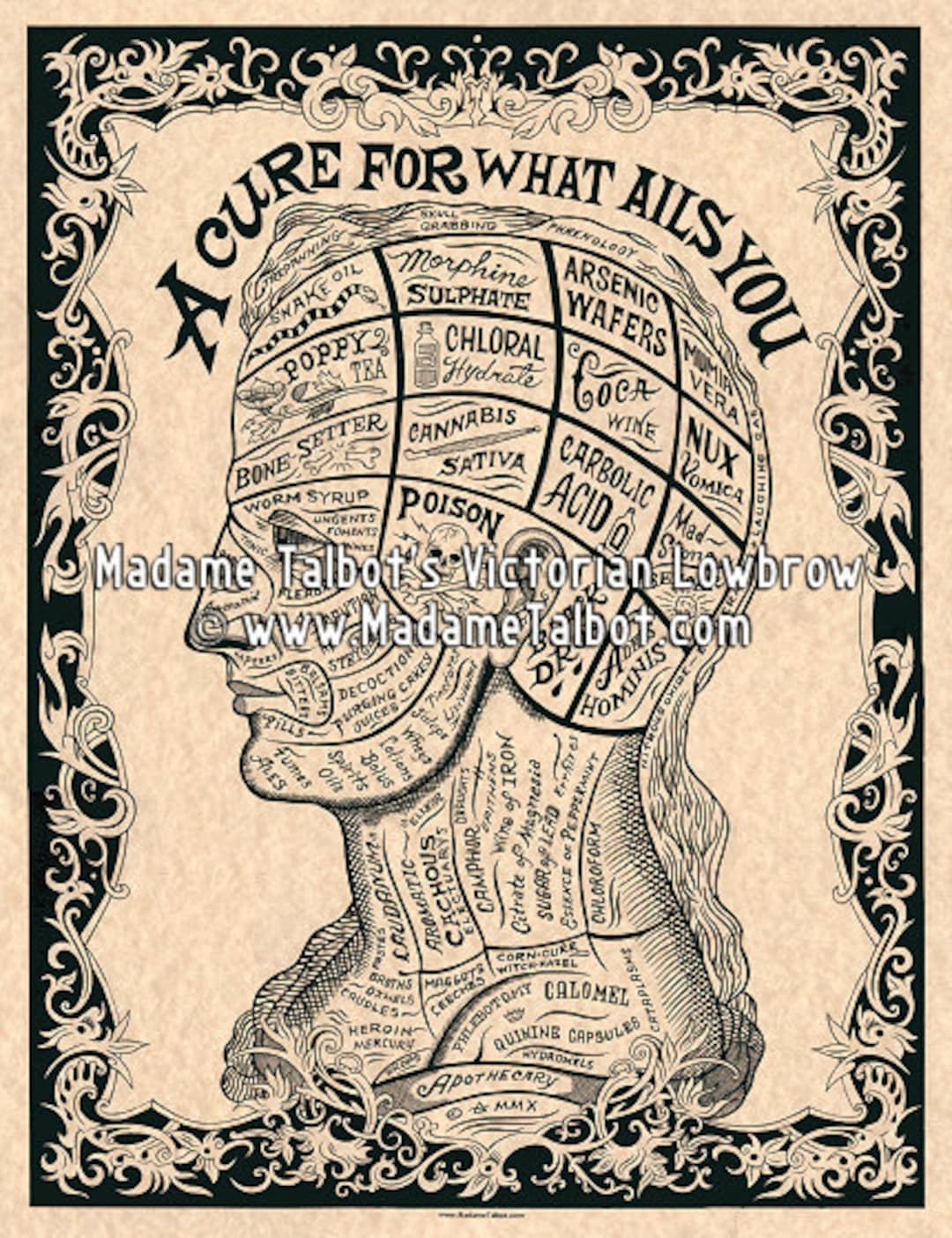 A Cure for What Ails You Phrenology Drugs Medical Apothecary