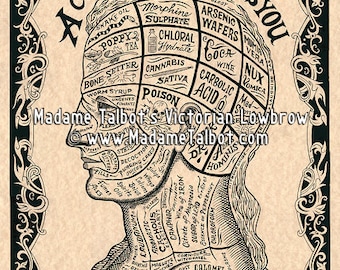 A Cure For What Ails You Phrenology Drugs Medical Apothecary Poison Poster