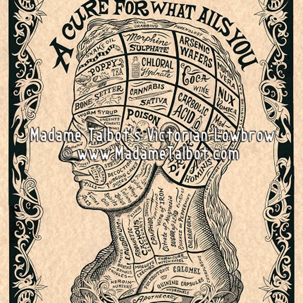 A Cure For What Ails You Phrenology Drugs Medical Apothecary Poison Poster