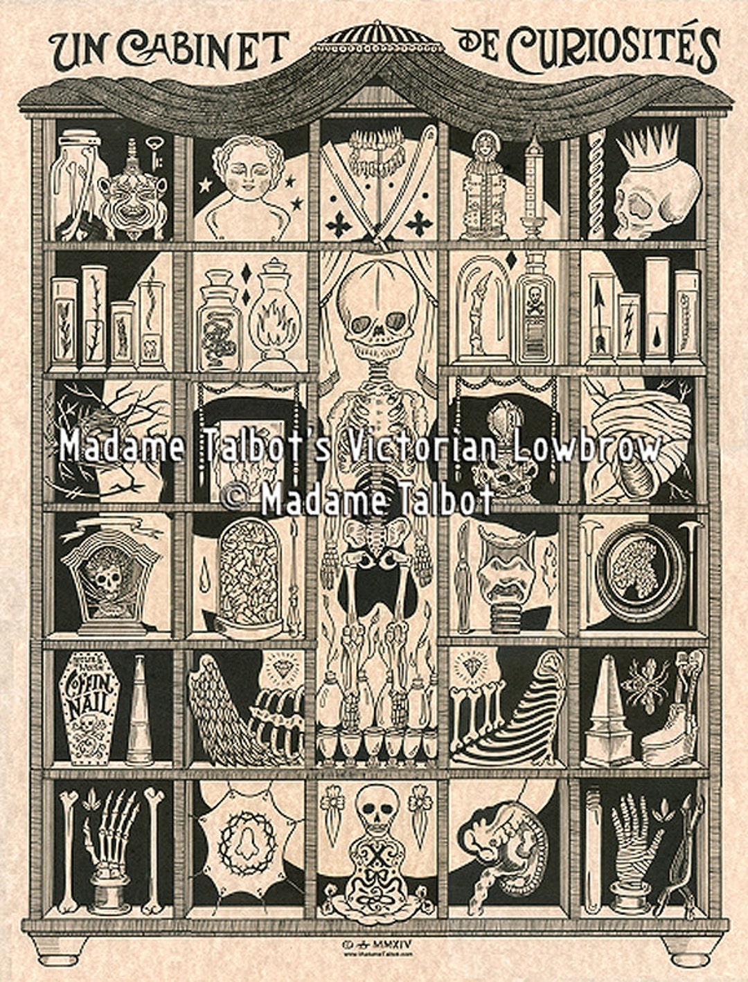 Curiosity Cabinet Glow in the Dark Morbid Skull Anatomy Victorian