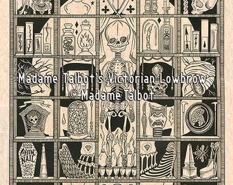 Curiosity Cabinet Glow in the Dark Morbid Skull Anatomy Victorian Lowbrow Poster