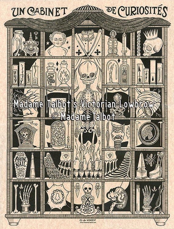 Curiosity Cabinet Glow In The Dark Morbid Skull Anatomy Etsy