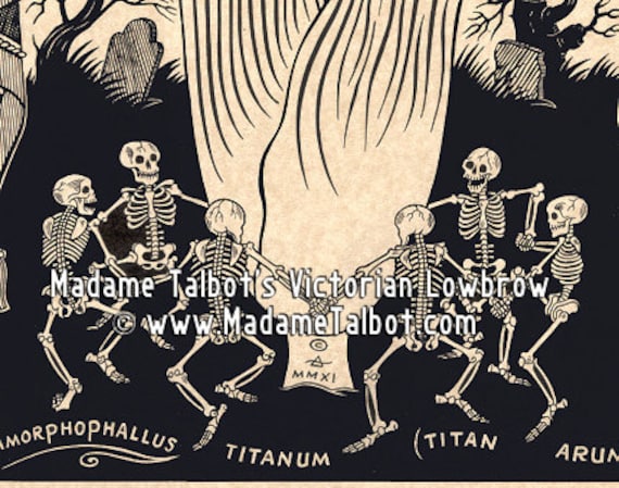 Corpse Flower Skeleton Victorian Lowbrow Madame Talbot Poster