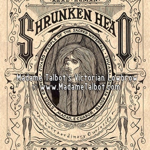 Human Shrunken Head Tsantsa Gothic Lowbrow Poster