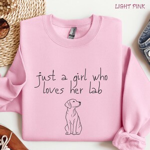 Puede incluir: Sudadera rosa claro con la frase "just a girl who loves her lab" en escritura negra. Un dibujo lineal negro de un Labrador Retriever est&aacute; debajo del texto. Las palabras "LIGHT PINK" est&aacute;n en la parte superior.