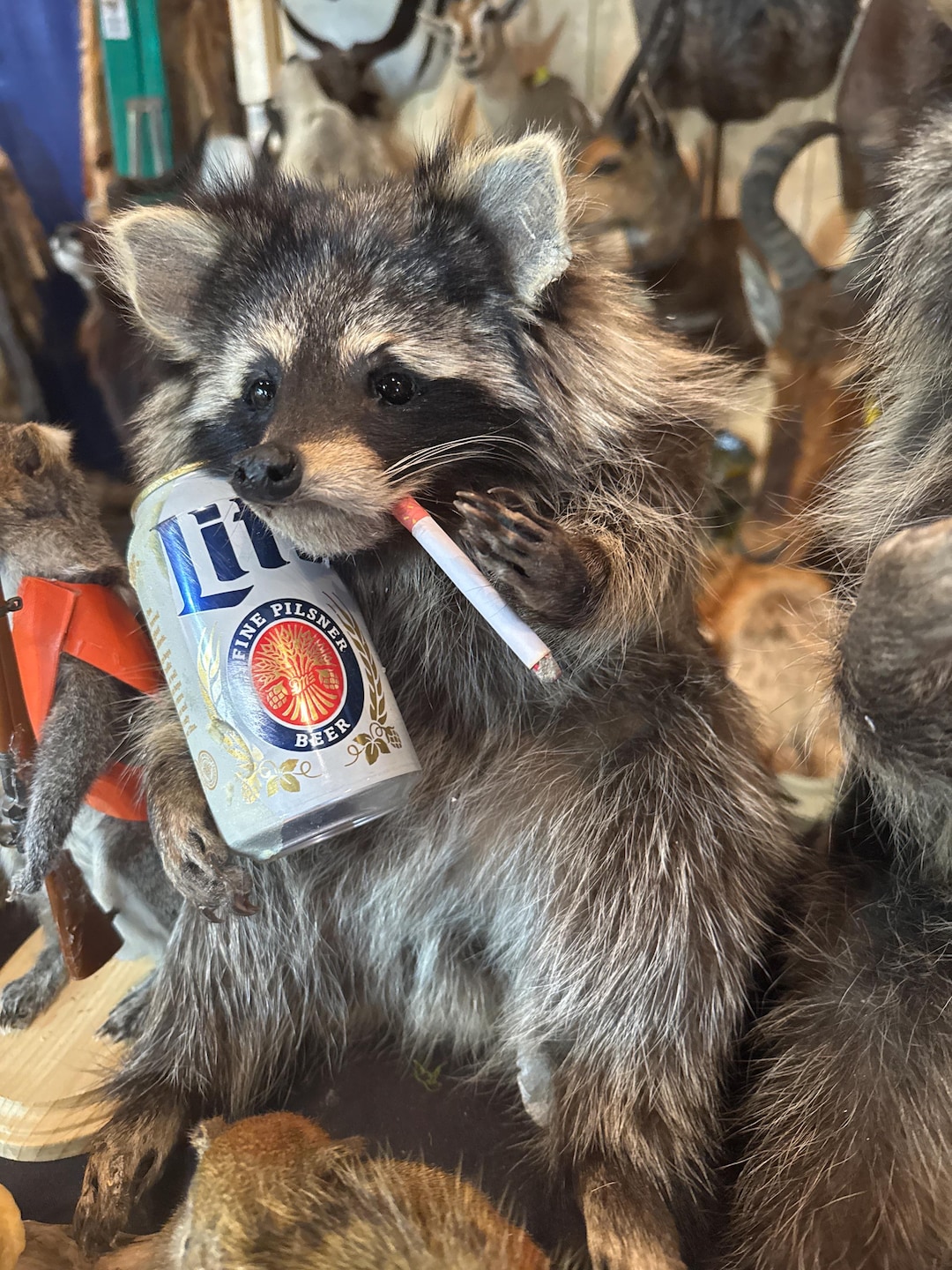 Flipping off Raccoon Drinking Smoking - Etsy