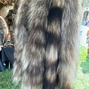 Racoon tails