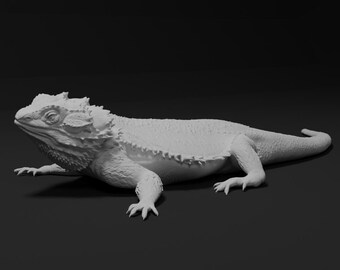 May include: A detailed, grayscale sculpture of a bearded dragon lizard. The reptile is depicted in a relaxed pose, with textured skin and intricate details on its head and body. The sculpture is set against a dark background.