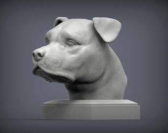 Busto de Staffordshire Bull Terrier
