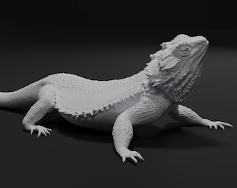 Estatua impresa en 3D de dragón barbudo - Cabeza inclinada hacia la derecha - 40 cm