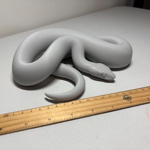 May include: A coiled, light grey snake figurine with a textured surface. A wooden ruler is placed next to the snake for scale. The snake is lying on a white surface.