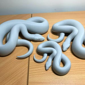 Woma python 3D printed statue - Steve's Statue exclusive model