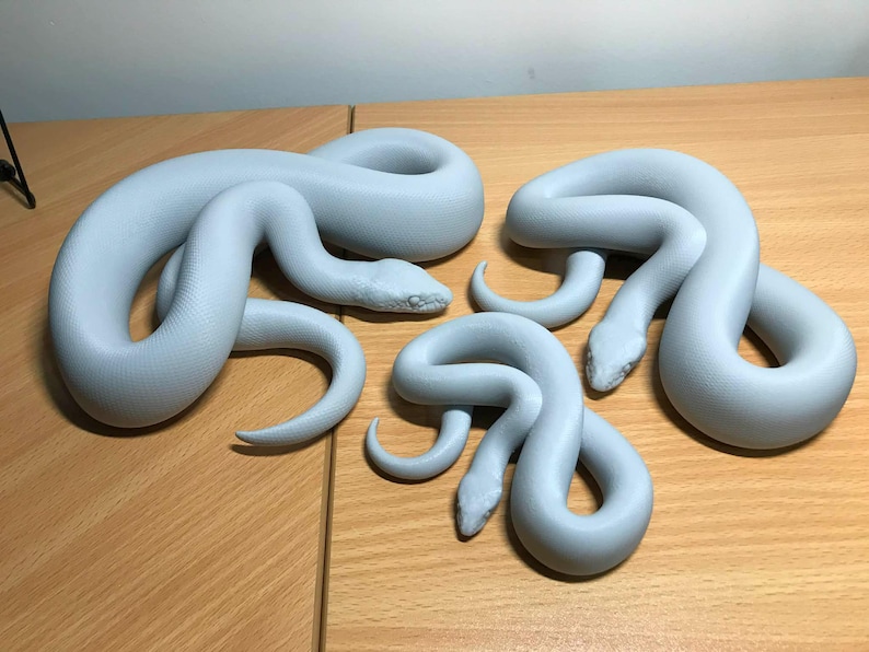 Woma python 3D printed statue - Steve's Statue exclusive model image 1