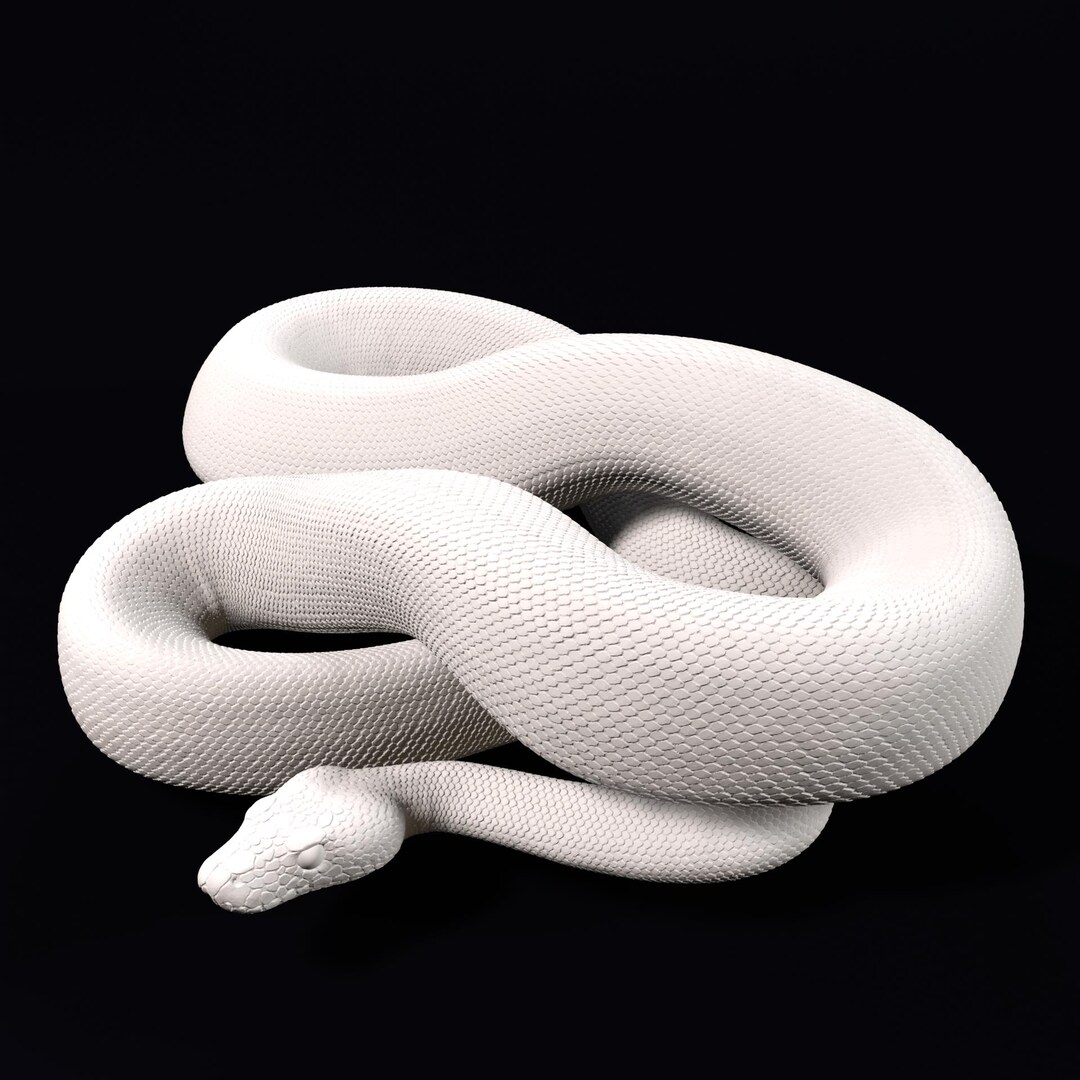 Ball Python 3D Printed Statue - Coiled Posture - 20cm - Etsy