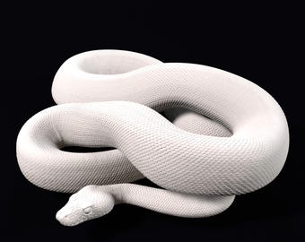 Ball python 3D printed statue - Coiled posture - 20cm
