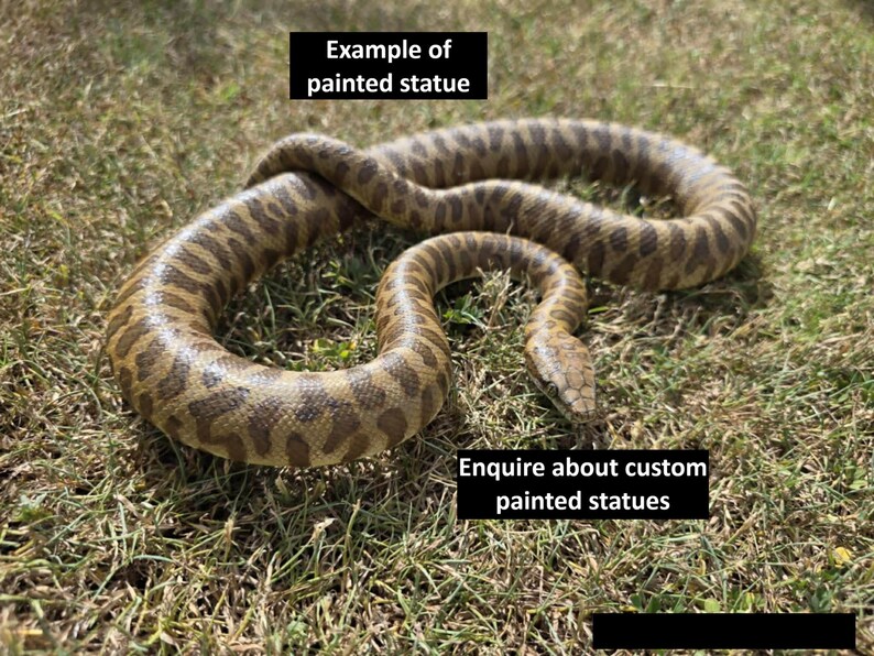 Childrens python 3D printed statue - pose 1 image 2