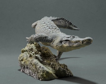 Caimán americano nadando