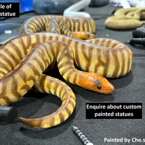 Woma python 3D printed statue - Steve's Statue exclusive model image 2
