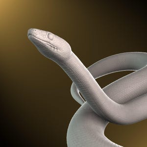 May include: A white snake with a textured skin is curled up in a coil. The snake's head is raised and its eyes are closed.