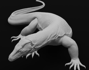 Varano acuático asiático - Forma de S - 30 cm