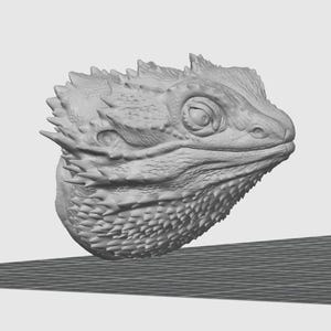 May include: A detailed, grayscale 3D model of a bearded dragon's head. The model showcases the reptile's textured skin, spiky scales, and prominent eye. The head is positioned at a slight angle, highlighting its intricate features.