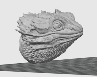 Imanes de nevera impresos en 3D con forma de dragón barbudo, gecko leopardo, lagarto de lengua azul y cabeza de diablo espinoso - Realistas - Sin pintar