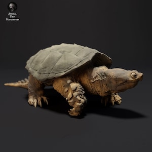 May include: A detailed, realistic model of a snapping turtle, with a textured shell and a textured, brown body. The turtle is walking forward with its head raised and its mouth slightly open.