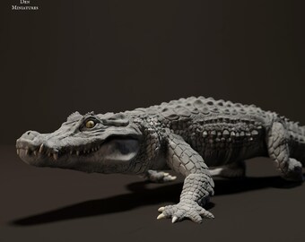 Caimán negro caminando