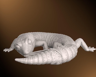 Gecko leopardo - Postura de muda de cola