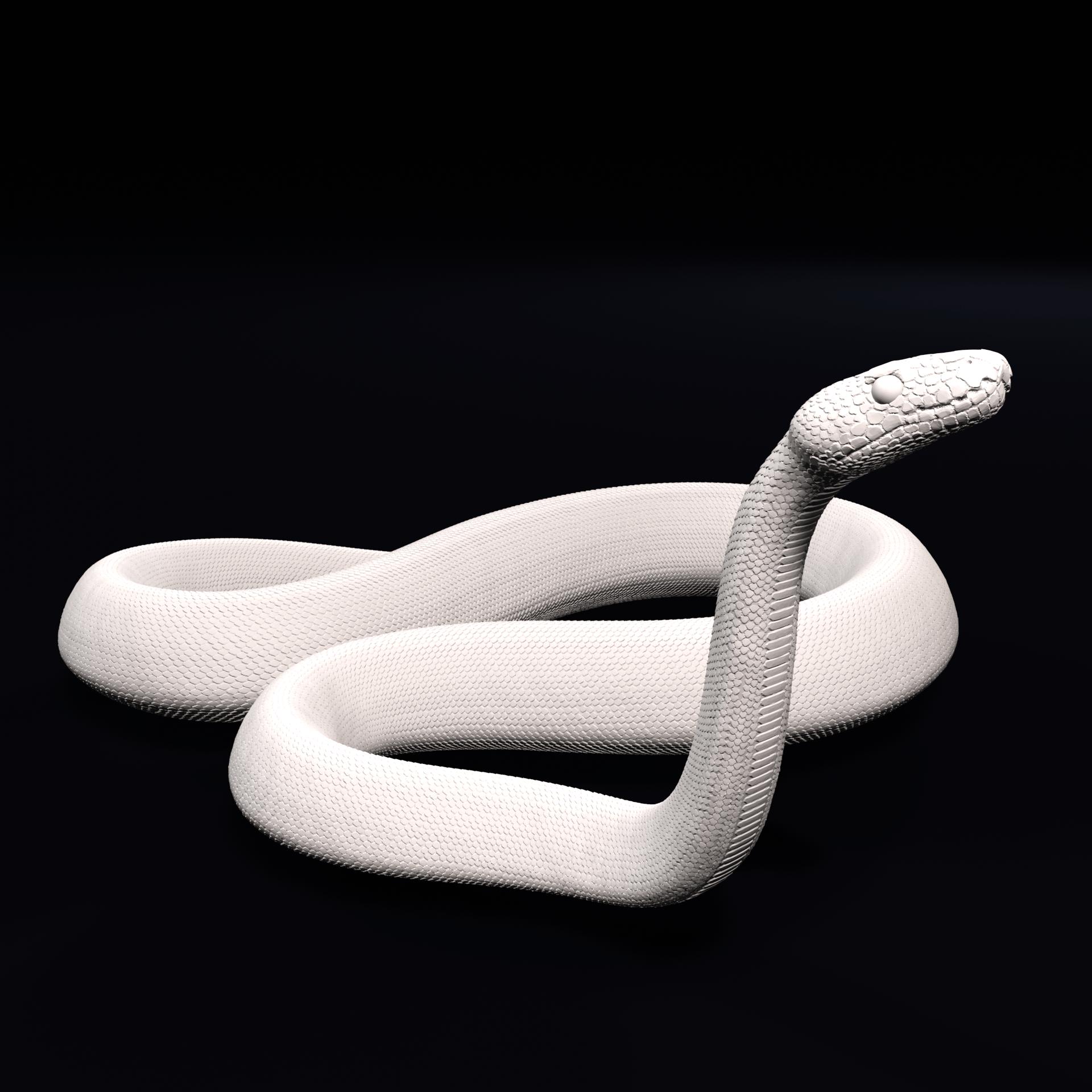 Python Head Statue Ball Python 3D Printed Statue - Raised Head - 20cm Long - Etsy