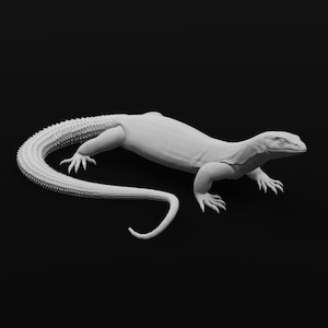 May include: A white 3D printed model of a lizard with a long tail and textured skin.