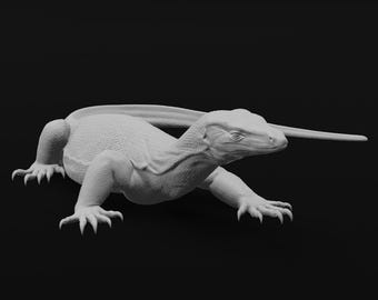 Asian Water monitor - At rest - 30cm