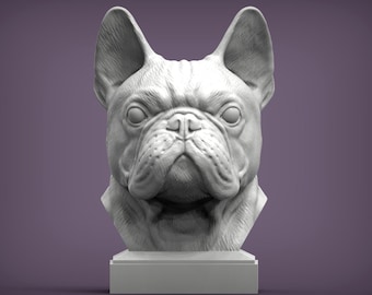 Busto de bulldog francés