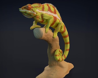 Camaleón en una rama