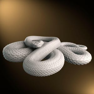 Wimpern-Viper - Coiled - 25 cm