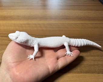 Gecko leopardo - Postura recta