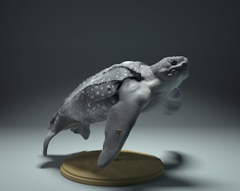 Tortuga laúd nadando