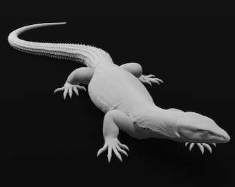 Monitor Ackie - Mirar a la izquierda - 20 cm