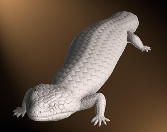 Shingleback - Straight posture - 40cm