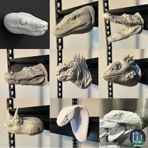 May include: Nine grey reptile head sculptures, including a snake, alligator, and iguana, are displayed. Each sculpture is mounted on a black metal shelf, showcasing detailed textures and realistic features. The sculptures vary in size and pose, offering a diverse display of reptilian forms.