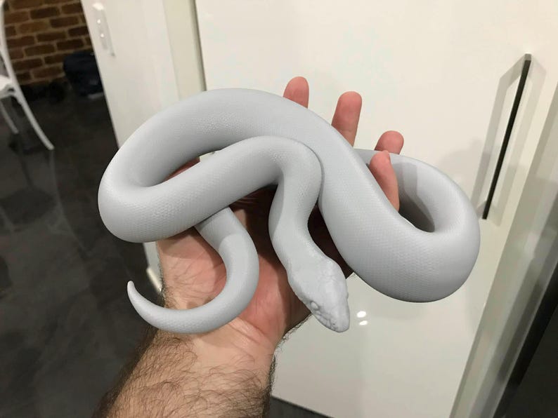 Woma python 3D printed statue - Steve's Statue exclusive model image 4