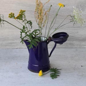Könnte beinhalten: Eine tiefblaue Emaille-Kaffeekanne mit Klappdeckel, gefüllt mit verschiedenen Wildblumen, darunter gelbe Blüten, hohe grüne Stängel und weiße spitzenartige Blumen. Die Kanne hat einen geschwungenen Griff und einen breiten Boden und steht aufrecht.