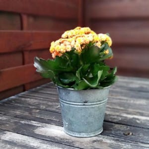 Aluminium vintage small bucket with handle, Old aluminium ware, Garden shabby decor, Retro metal vase, Galvanized zinc pail, Farmhouse decor