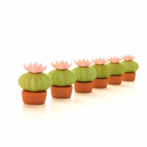 May include: A row of six small, green cactus plants in terracotta pots with pink flower tops.
