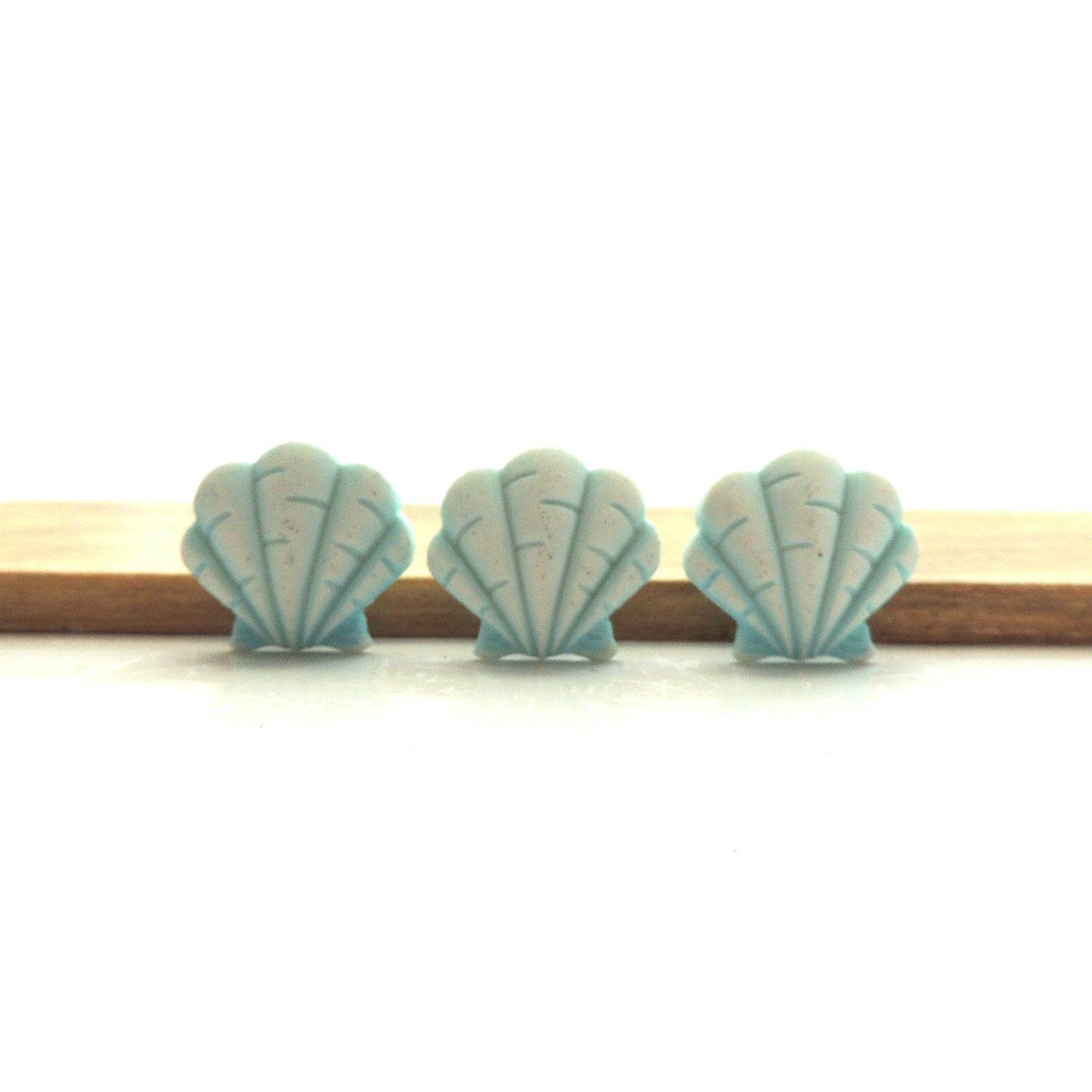 Fan Seashell Buttons by Buttons Galore : Beach Craft Embellishments ...