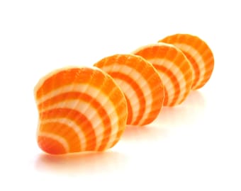 Orange Scallop Shell Cabochons: Beach Resin Flatbacks, Set of 4