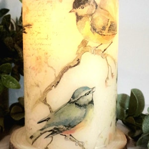 VOGEL FLAMMENLOSE KERZE MIT Timer/Vögel/Vogelliebhaber Geschenk/Nachtlicht/Geburtstagsgeschenk/Einweihungsparty/Vogelliebhaber/Muttertag
