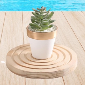 White and gold terracotta pot 2.5, small plants pots, succulent pots, Wedding supplies, party favors